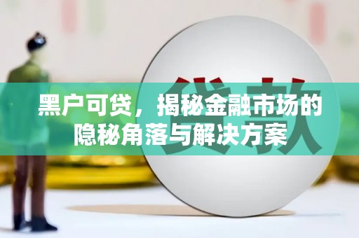 顺城黑户可贷，揭秘金融市场的隐秘角落与解决方案
