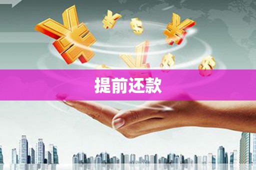 顺城提前还款