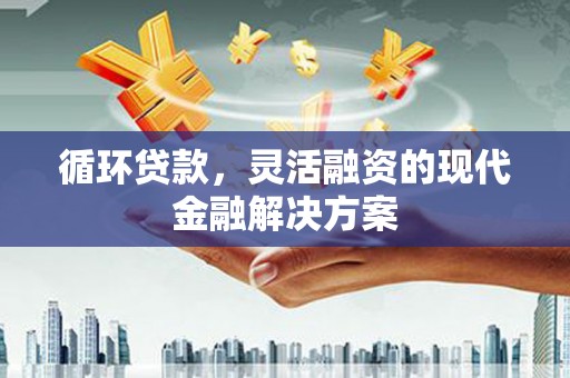 顺城循环贷款，灵活融资的现代金融解决方案