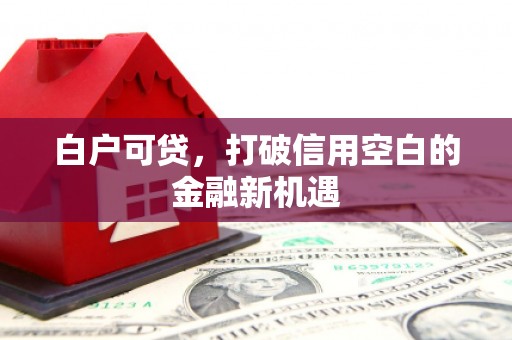 顺城白户可贷，打破信用空白的金融新机遇