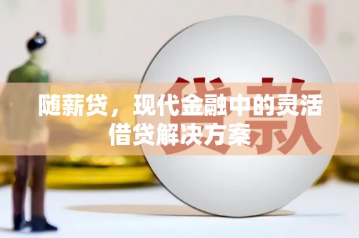 顺城随薪贷，现代金融中的灵活借贷解决方案