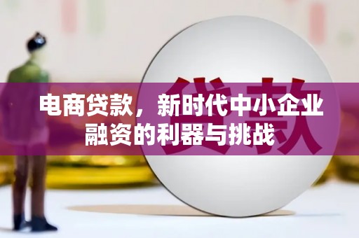 顺城电商贷款，新时代中小企业融资的利器与挑战