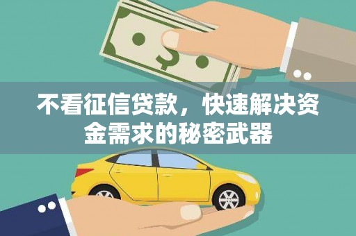 顺城不看征信贷款，快速解决资金需求的秘密武器