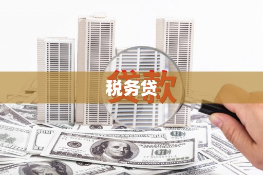 顺城税务贷