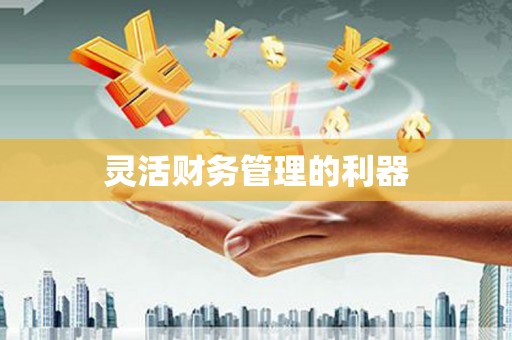顺城灵活财务管理的利器
