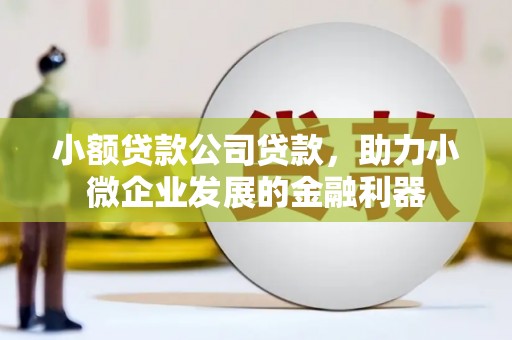 顺城小额贷款公司贷款，助力小微企业发展的金融利器