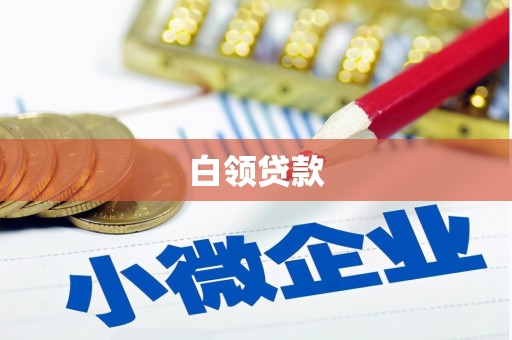 顺城白领贷款
