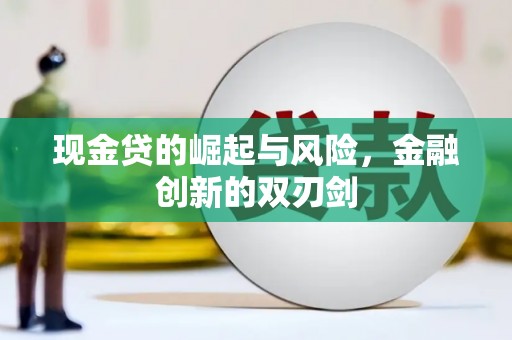 顺城现金贷的崛起与风险，金融创新的双刃剑