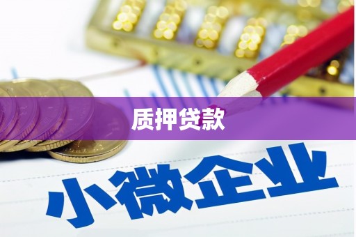 顺城质押贷款