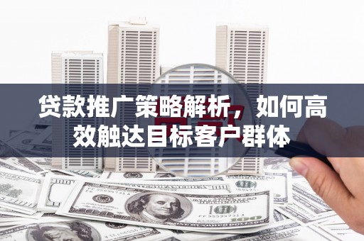 顺城贷款推广策略解析，如何高效触达目标客户群体