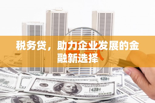 顺城税务贷，助力企业发展的金融新选择