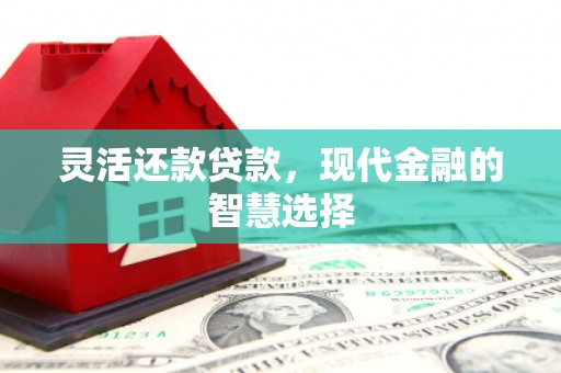 顺城灵活还款贷款，现代金融的智慧选择