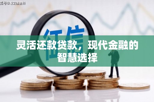 顺城灵活还款贷款，现代金融的智慧选择