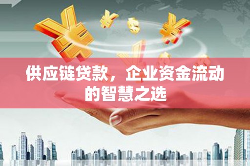 顺城供应链贷款，企业资金流动的智慧之选