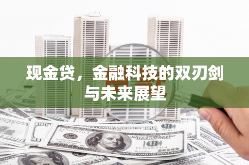 顺城现金贷，金融科技的双刃剑与未来展望