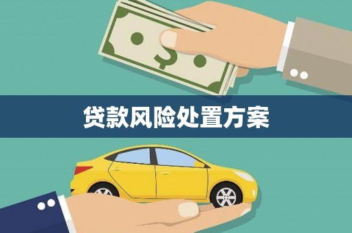 顺城贷款风险处置方案