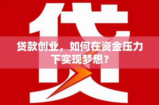 顺城贷款创业，如何在资金压力下实现梦想？