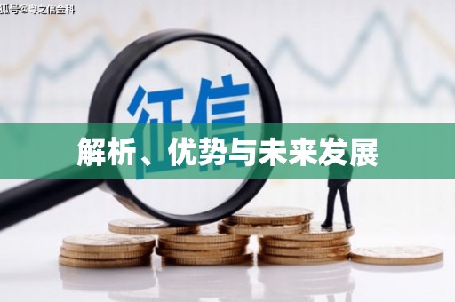 顺城解析、优势与未来发展