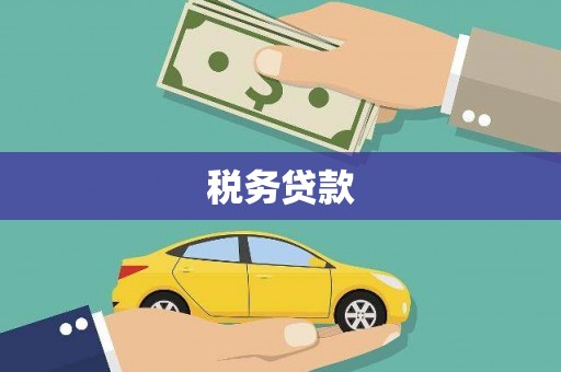 顺城税务贷款