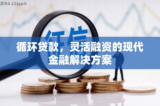顺城循环贷款，灵活融资的现代金融解决方案