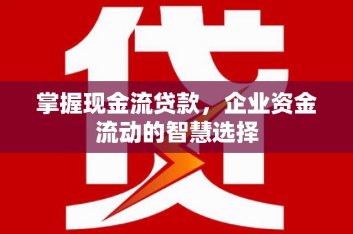 顺城掌握现金流贷款，企业资金流动的智慧选择