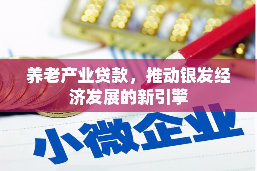 顺城养老产业贷款，推动银发经济发展的新引擎