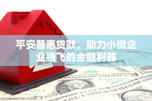 顺城平安普惠贷款，助力小微企业腾飞的金融利器