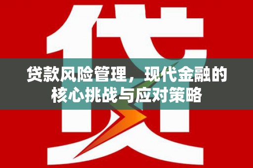 顺城贷款风险管理，现代金融的核心挑战与应对策略