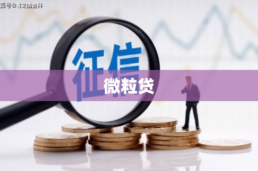 顺城微粒贷