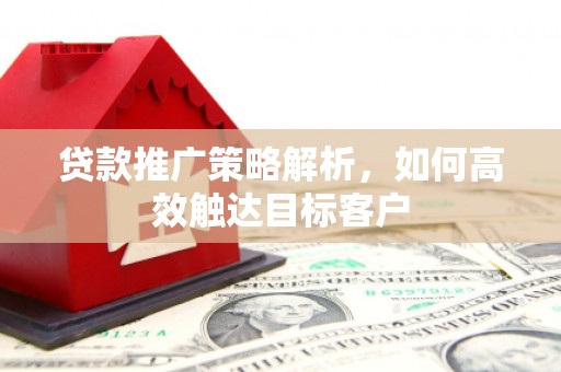 顺城贷款推广策略解析，如何高效触达目标客户