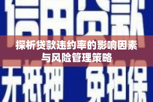 顺城探析贷款违约率的影响因素与风险管理策略