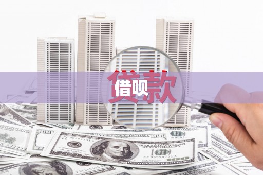 顺城借呗