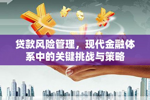 顺城贷款风险管理，现代金融体系中的关键挑战与策略