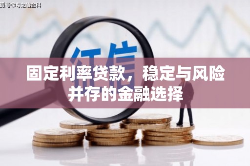 顺城固定利率贷款，稳定与风险并存的金融选择