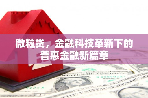 顺城微粒贷，金融科技革新下的普惠金融新篇章