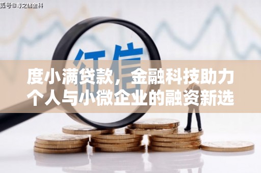 顺城度小满贷款，金融科技助力个人与小微企业的融资新选择