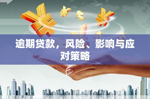 顺城逾期贷款，风险、影响与应对策略