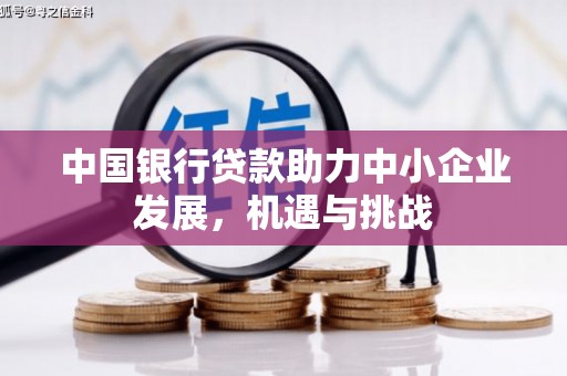 顺城中国银行贷款助力中小企业发展，机遇与挑战