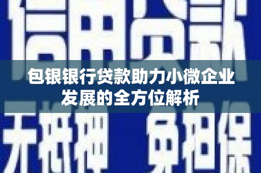 顺城包银银行贷款助力小微企业发展的全方位解析