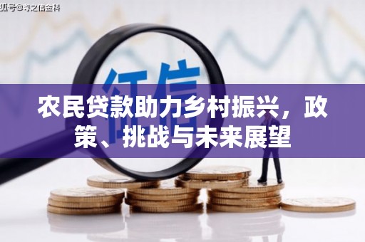 顺城农民贷款助力乡村振兴，政策、挑战与未来展望