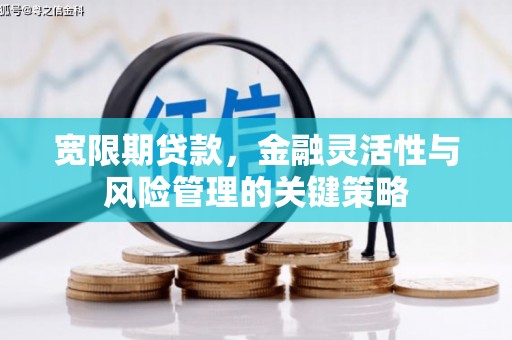 顺城宽限期贷款，金融灵活性与风险管理的关键策略