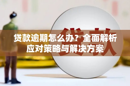 顺城贷款逾期怎么办？全面解析应对策略与解决方案