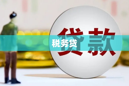 顺城税务贷