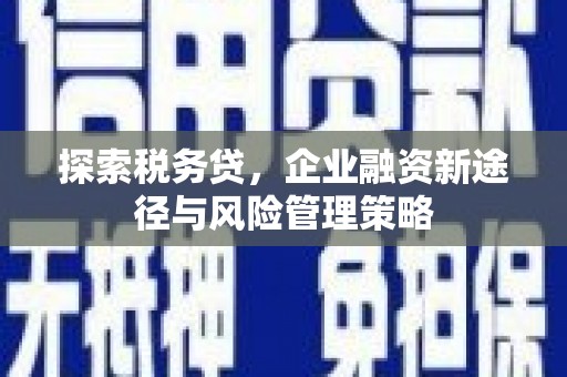 顺城探索税务贷，企业融资新途径与风险管理策略