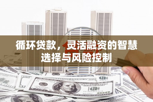 顺城循环贷款，灵活融资的智慧选择与风险控制