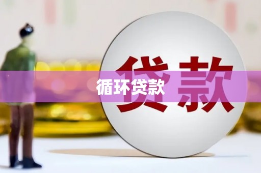 顺城循环贷款