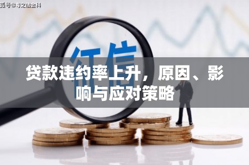 顺城贷款违约率上升，原因、影响与应对策略