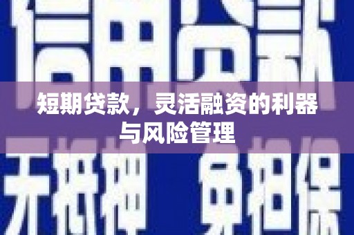 顺城短期贷款，灵活融资的利器与风险管理