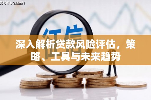 顺城深入解析贷款风险评估，策略、工具与未来趋势
