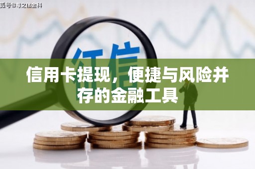 顺城信用卡提现，便捷与风险并存的金融工具